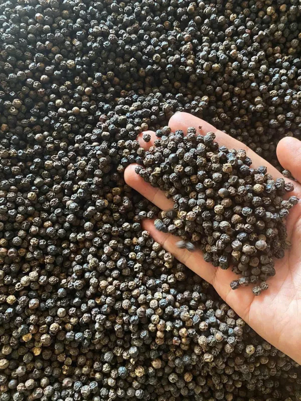 Black Pepper